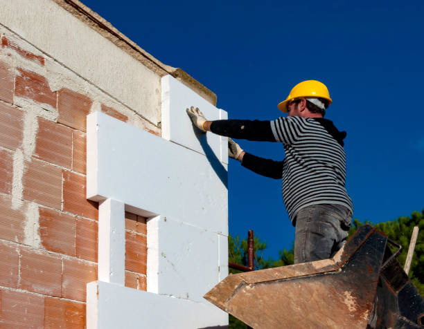 Best Insulation Replacement Services  in Prairie Grove, AR