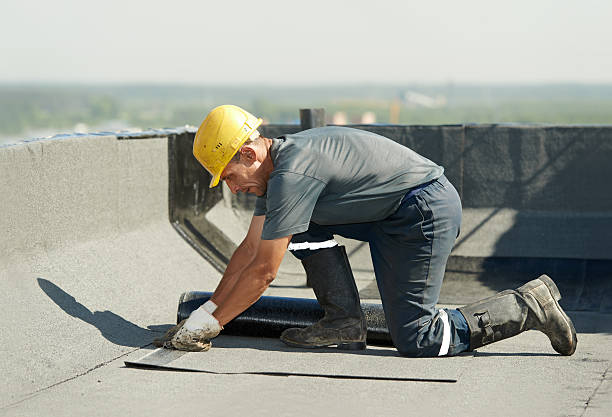 Best Insulation for New Construction  in Prairie Grove, AR
